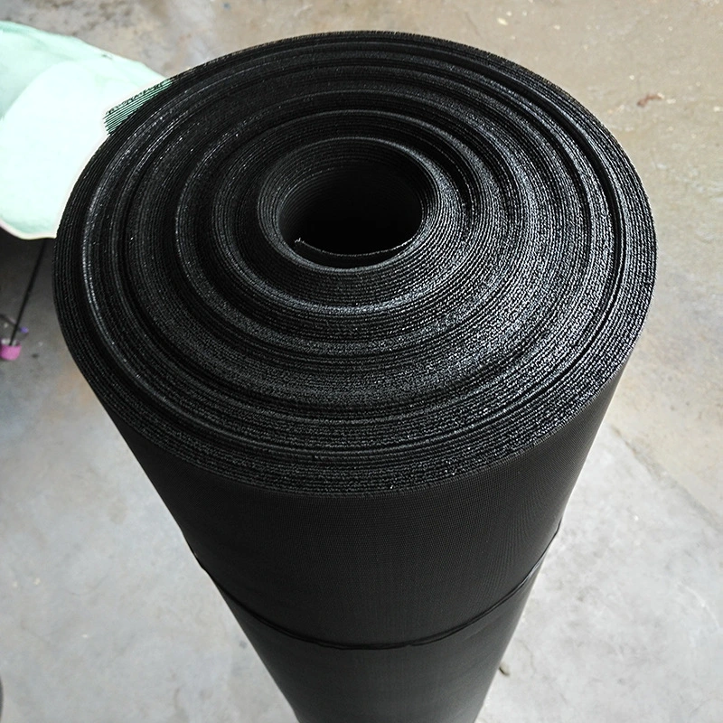 Micro Mesh Black Wire Cloth Mesh for Filter Element