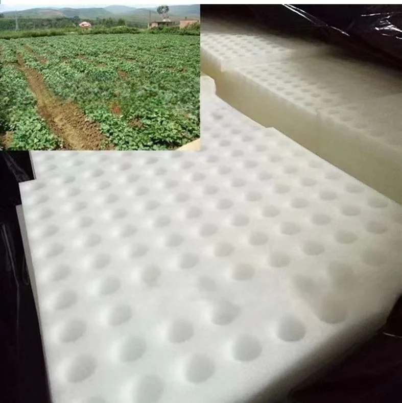 Special Foam for Agricultural Hydroponics